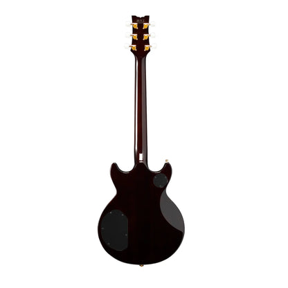 Ibanez AR2619-AV  Art of Guitar Art of Guitar
