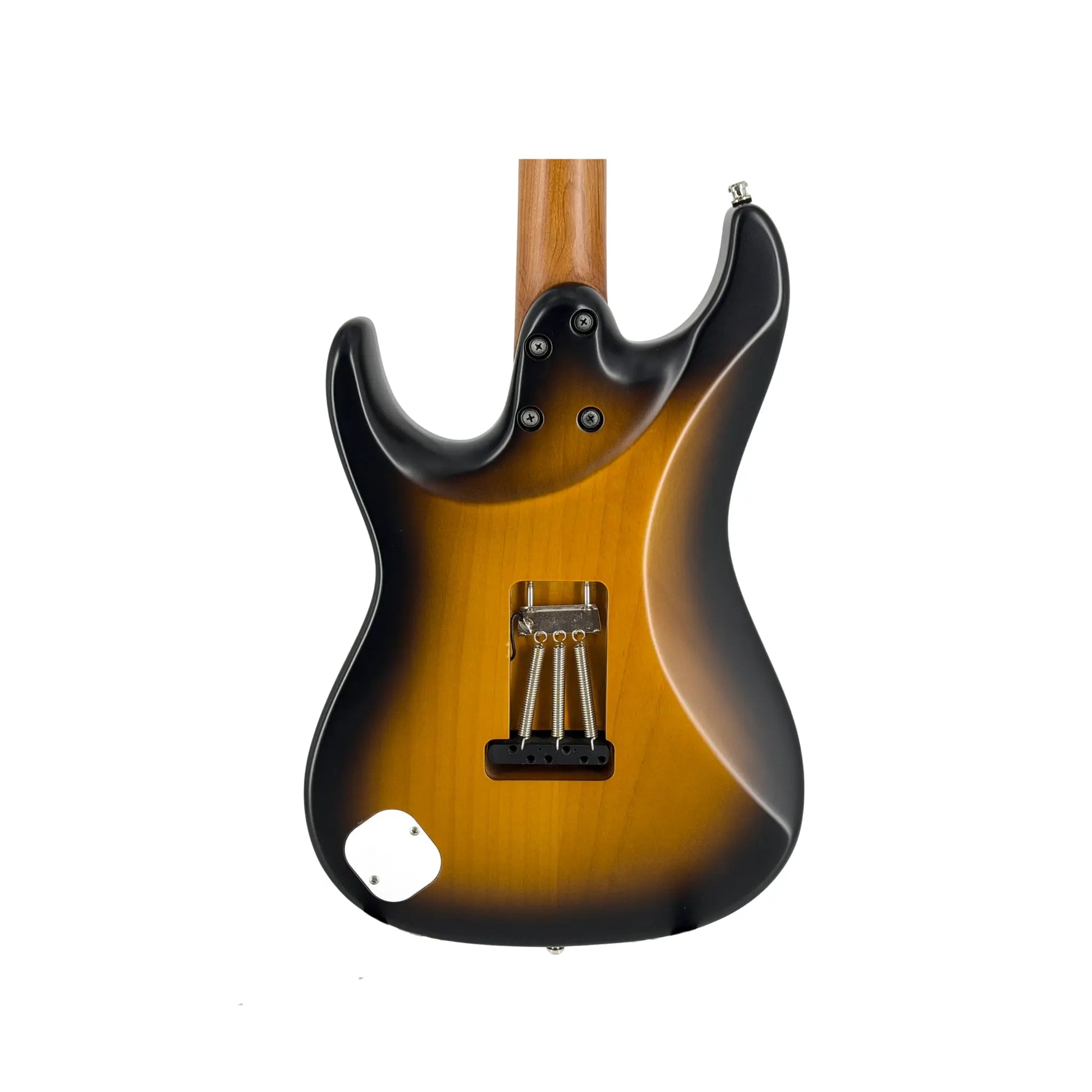 Ibanez ATZ100-SBT  Art of Guitar Art of Guitar