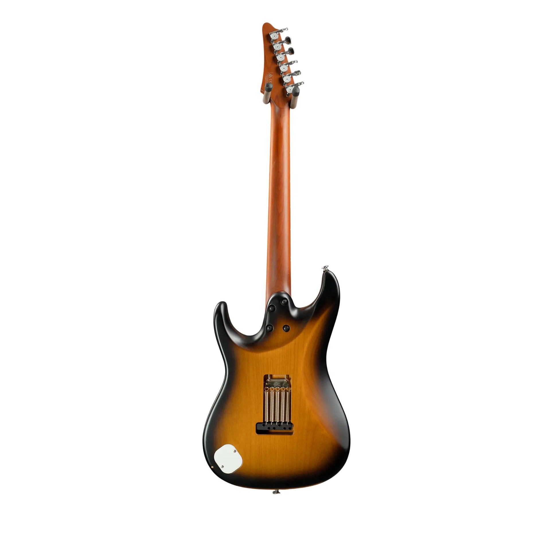 Ibanez ATZ100-SBT  Art of Guitar Art of Guitar