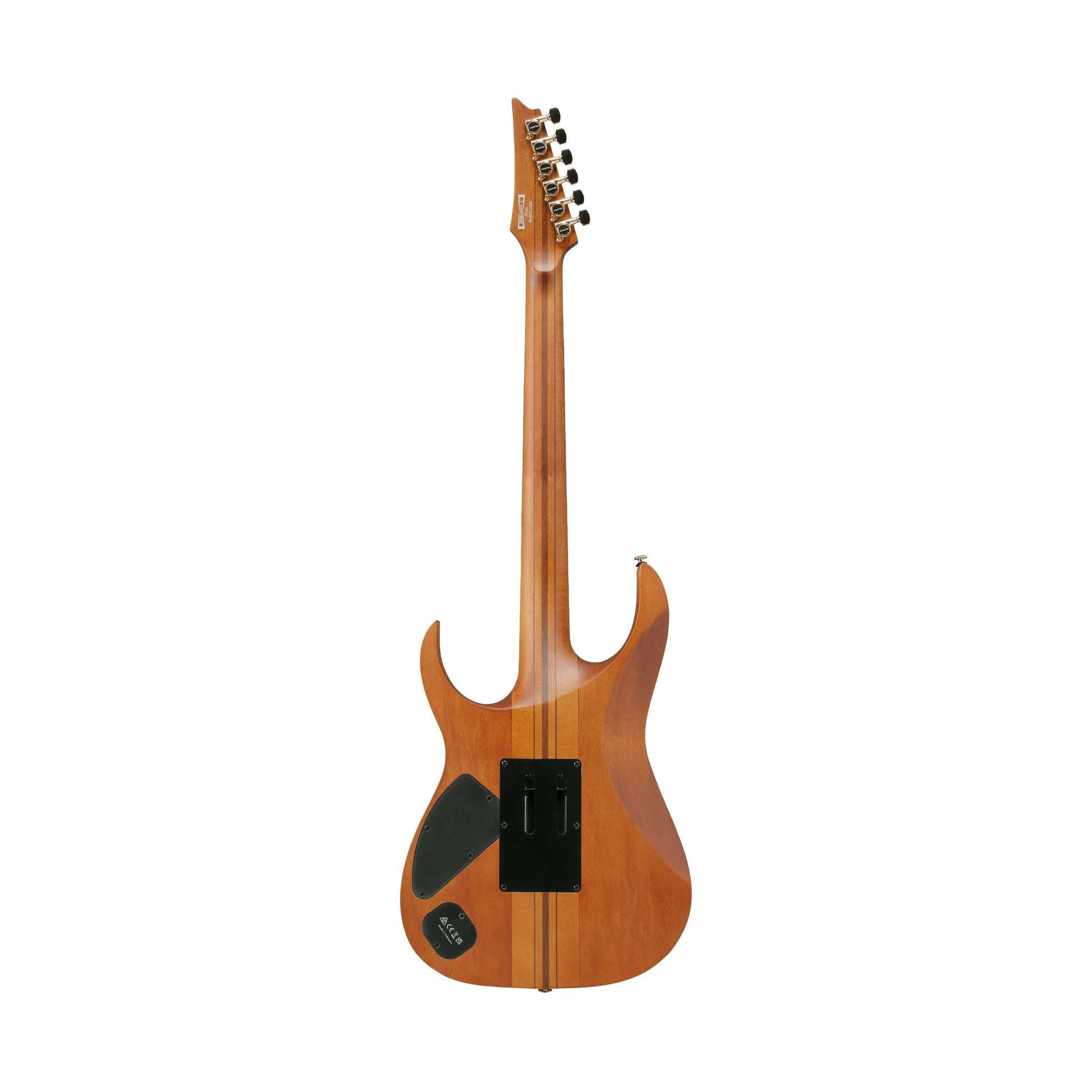 Ibanez Premium RGT1220PB-ABS (Antique Brown Stained) Electric Guitar Ibanez Art of Guitar