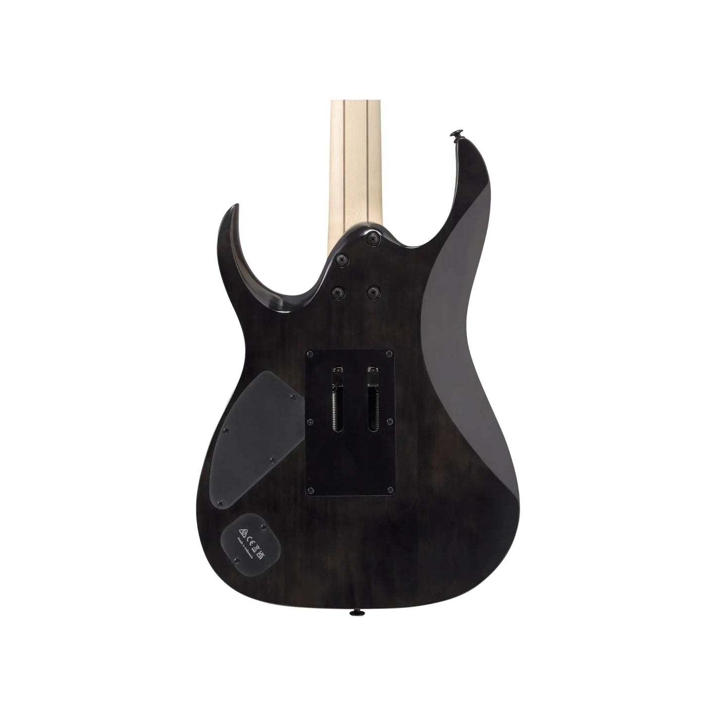 Ibanez RGA20P1PB-CUL  Art of Guitar Art of Guitar