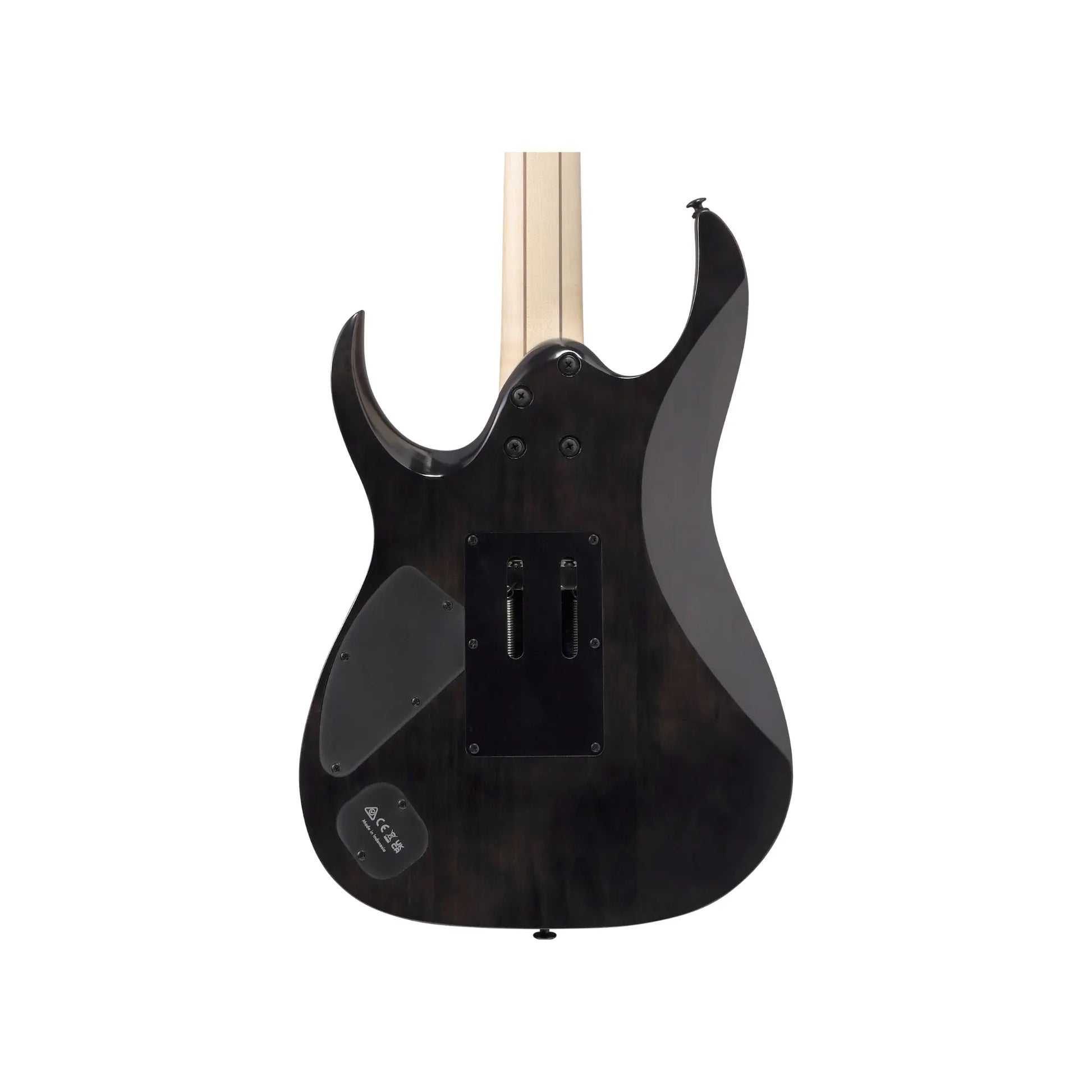 Ibanez RGA20P1PB-CUL  Art of Guitar Art of Guitar