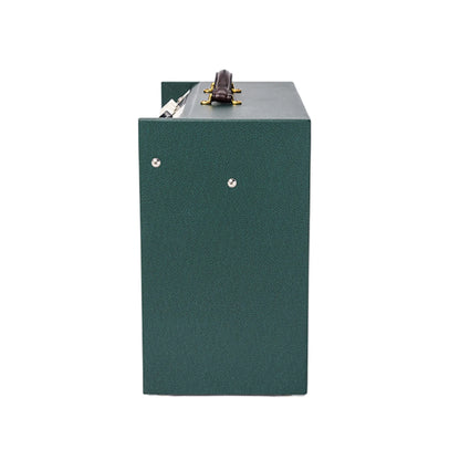 Kingston Maganatone Guitar Amplifiers Magnatone Art of Guitar