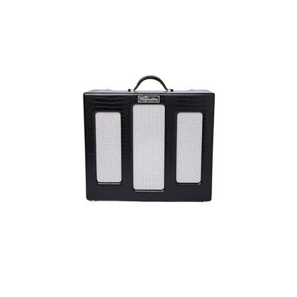 VARSITY REVERB MAGNATONE Guitar Amplifiers Magnatone Art of Guitar
