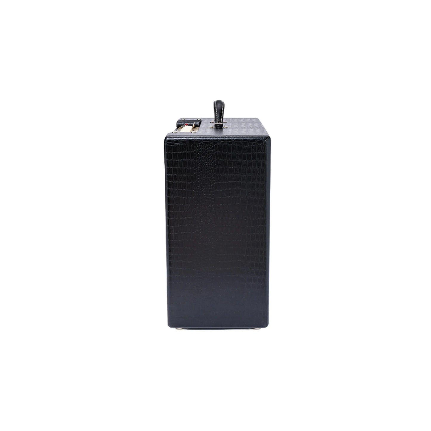 VARSITY REVERB MAGNATONE Guitar Amplifiers Magnatone Art of Guitar