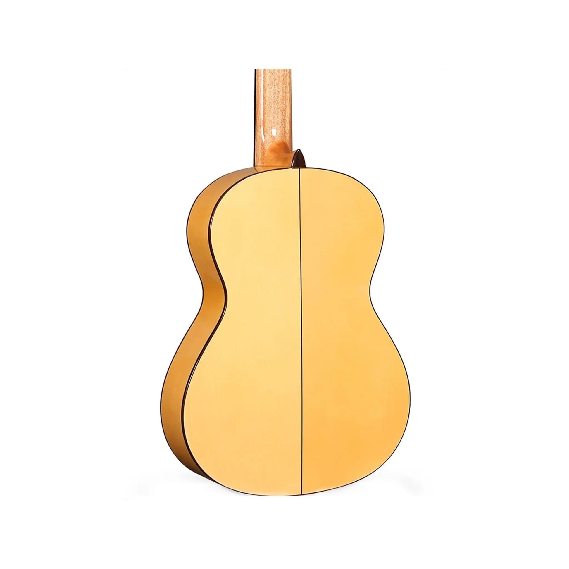 Alhambra 5 F PURE W/PICK GUARD Classical Guitars Alhambra Art of Guitar