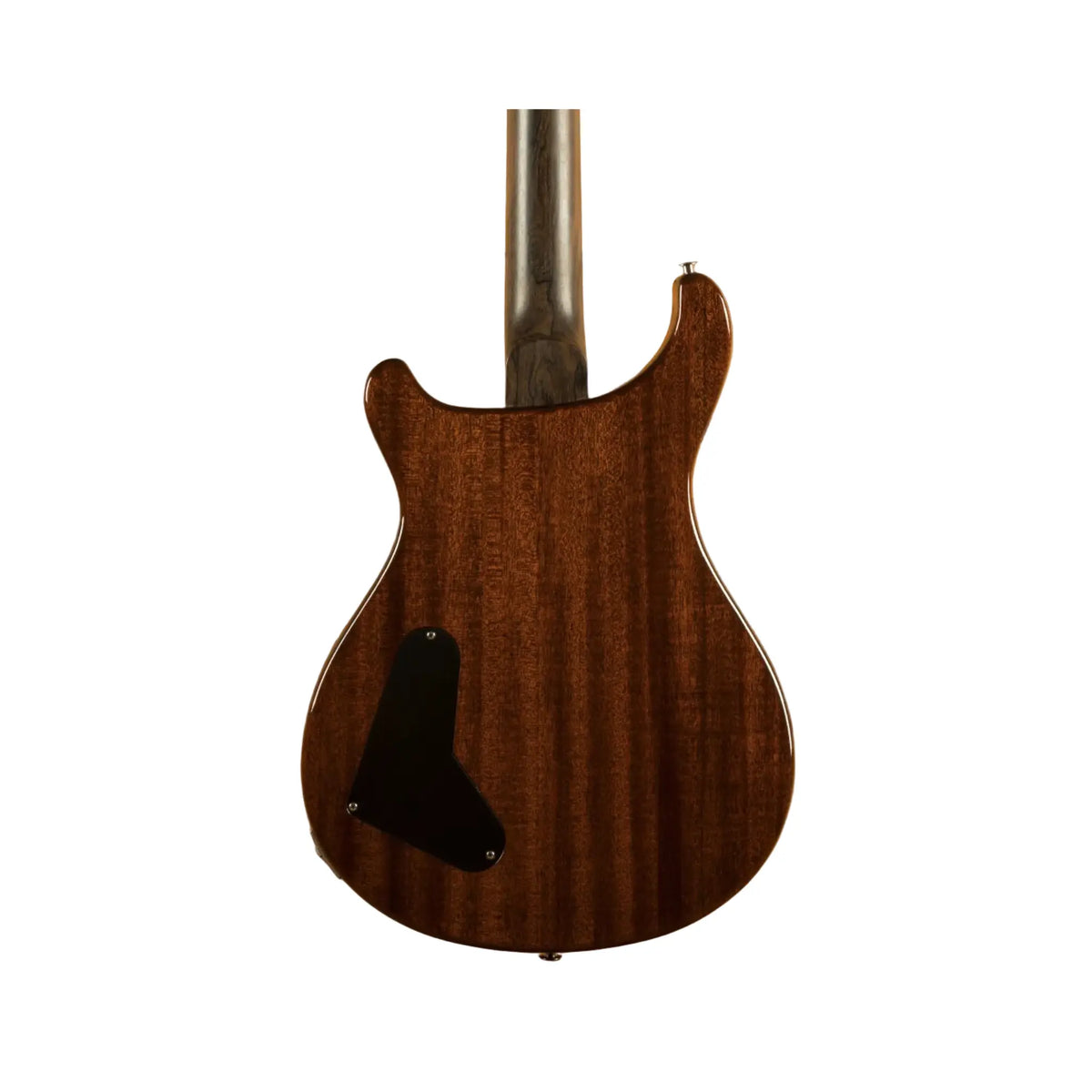 PRS Private Stock 40th Anniversary Electric Guitar - Dragon Limited #00046 Electric Guitars PRS Art of Guitar
