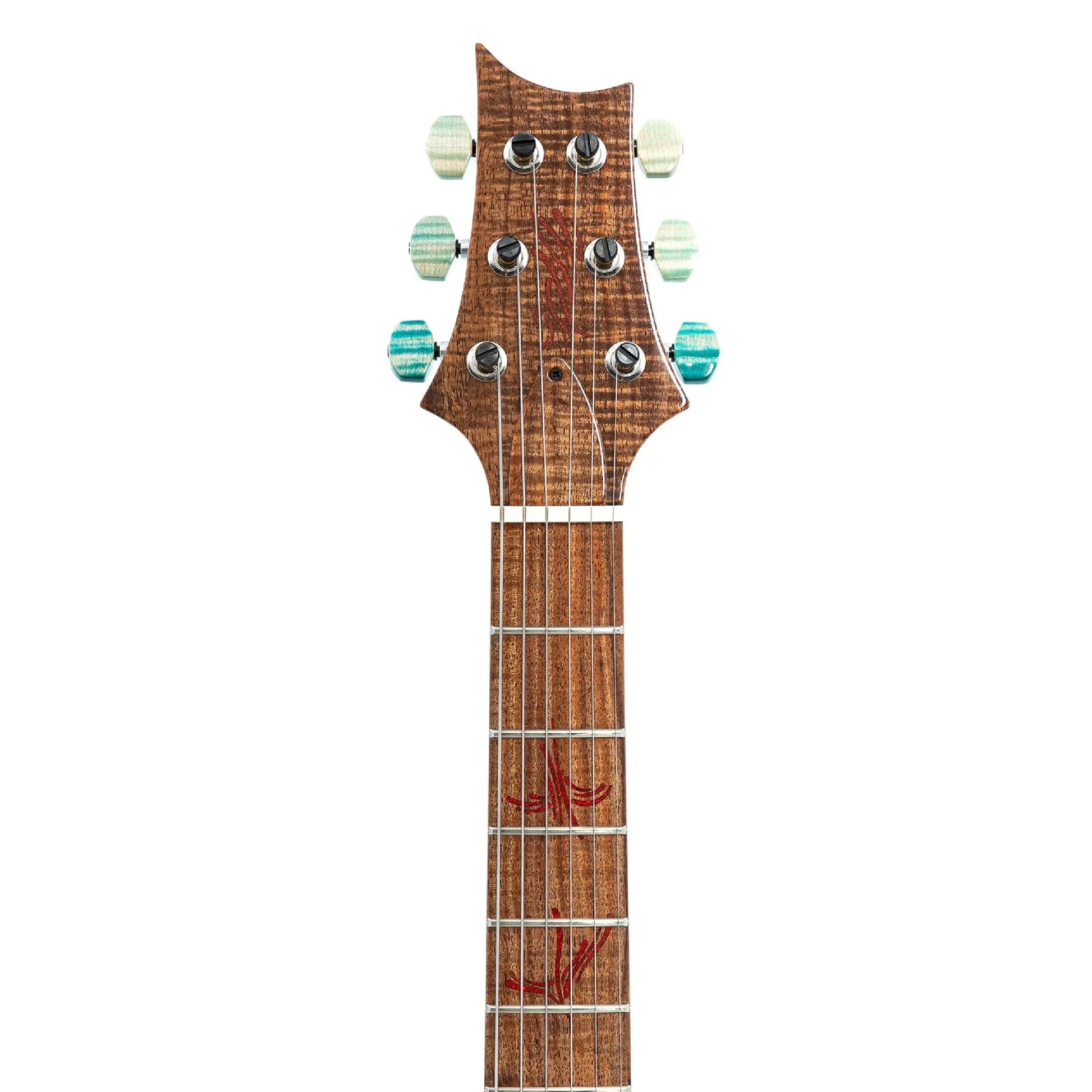 PRS Private Stock Modern Eagle V Piezo Electric Guitars PRS Art of Guitar