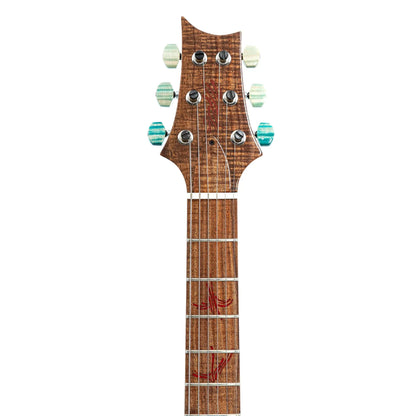 PRS Private Stock Modern Eagle V Piezo Electric Guitars PRS Art of Guitar