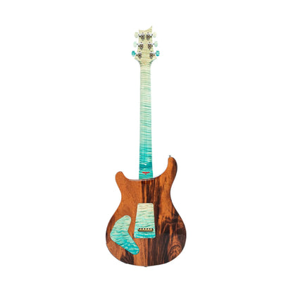 PRS Private Stock Modern Eagle V Piezo Electric Guitars PRS Art of Guitar