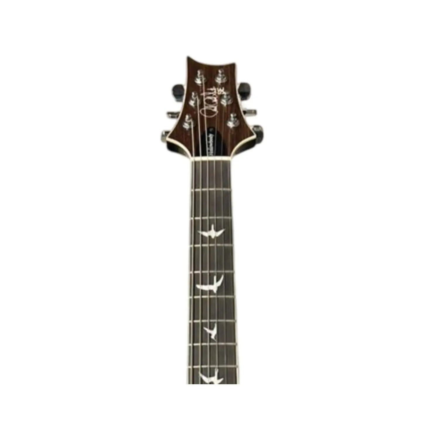 PRS Hollow body SE - hand-signed by Apocalyptica band Electric Guitars PRS Art of Guitar