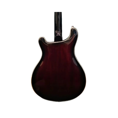 PRS SE Hollowbody Electric Guitar – Autographed by Apocalyptica (Unique Collector Piece) Electric Guitars PRS Art of Guitar
