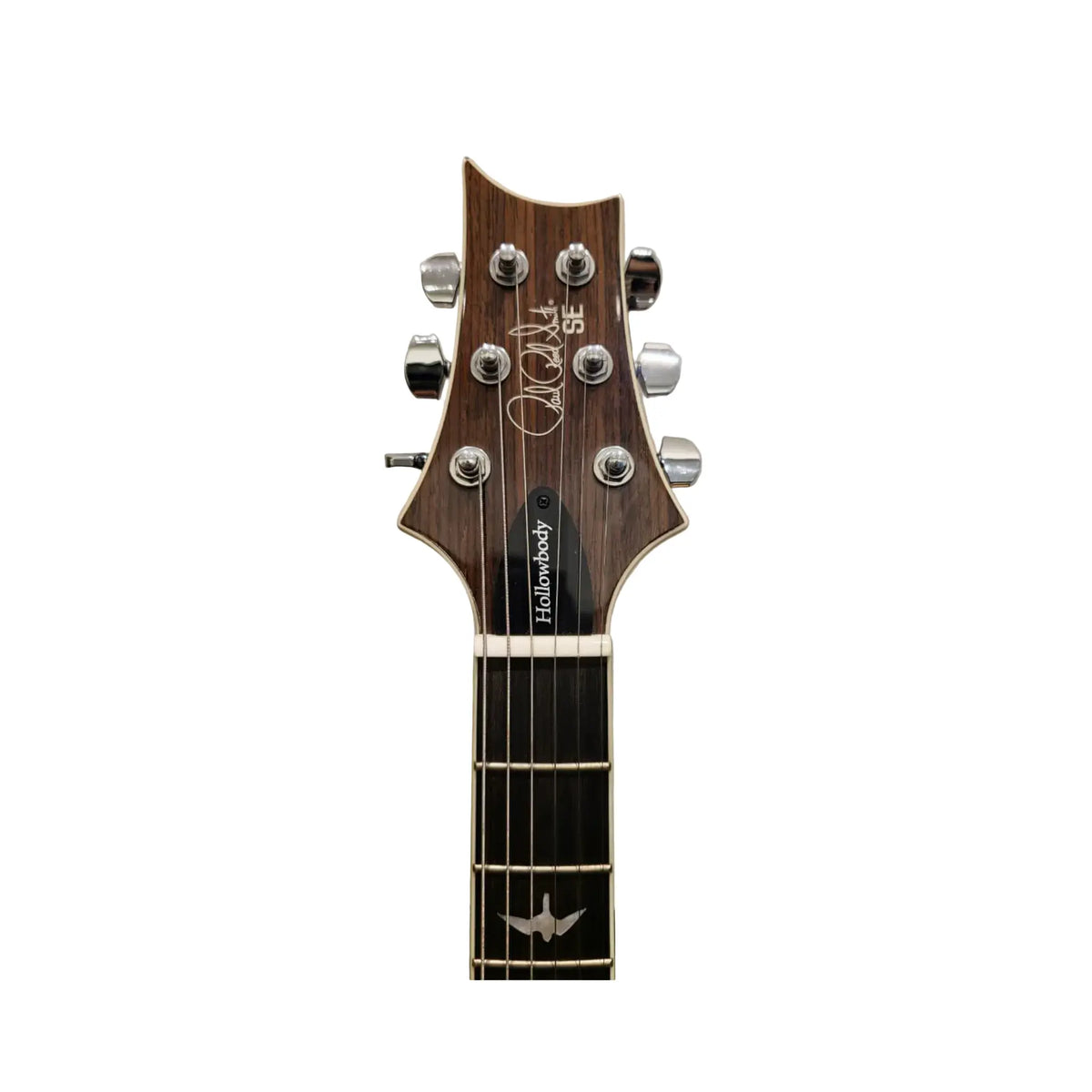 PRS SE Hollowbody Electric Guitar – Autographed by Apocalyptica (Unique Collector Piece) Electric Guitars PRS Art of Guitar
