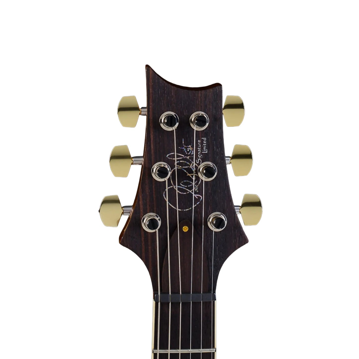 PRS Signature limited Eriza Verde Electric Guitars PRS Art of Guitar