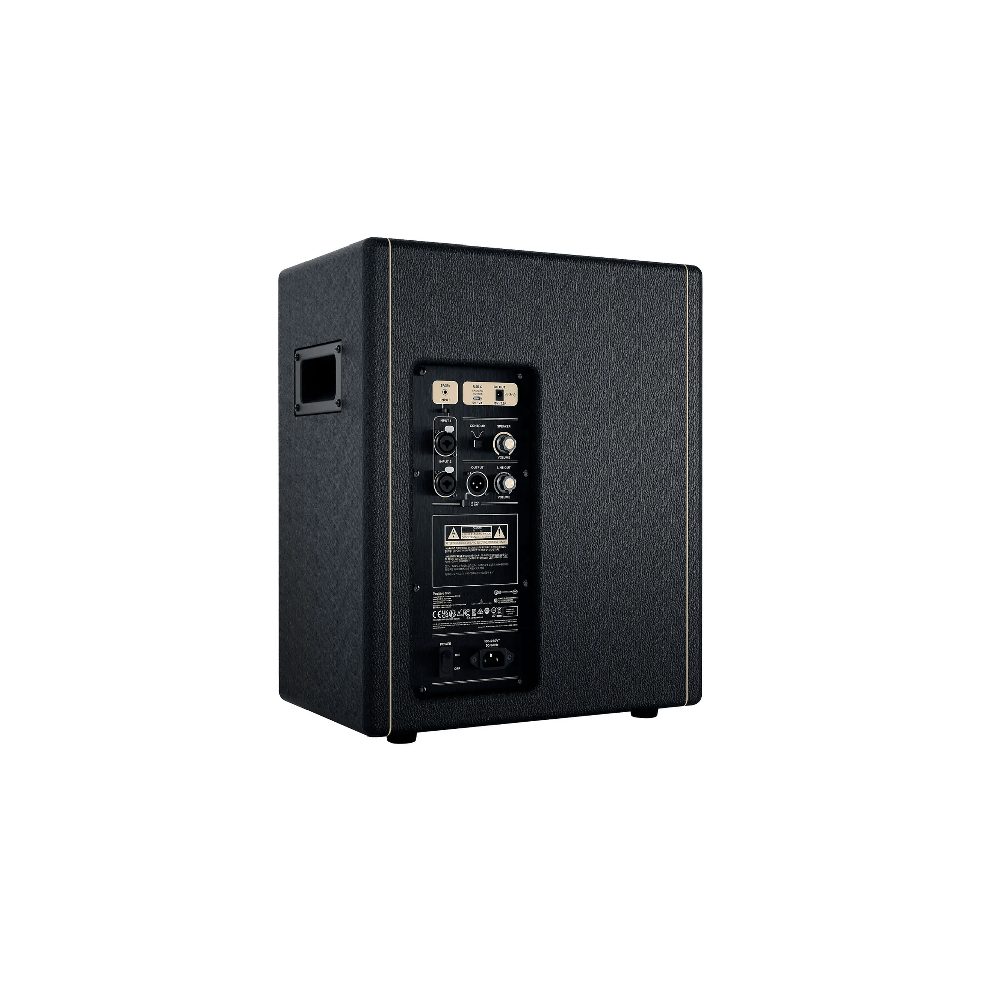 Positive Grid CAB-Black Speaker Cabinet Positive Grid Art of Guitar