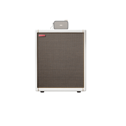 Positive Grid CAB-Pearl Speaker Cabinet Positive Grid Art of Guitar