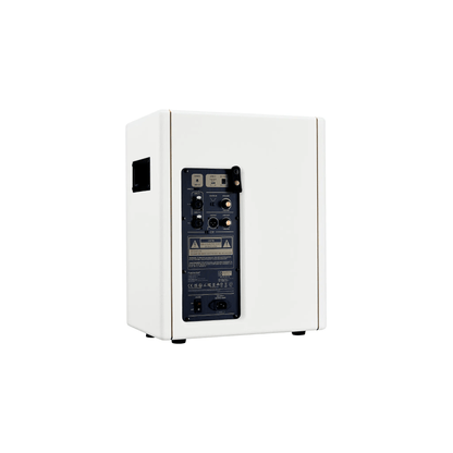 Positive Grid CAB-Pearl Speaker Cabinet Positive Grid Art of Guitar