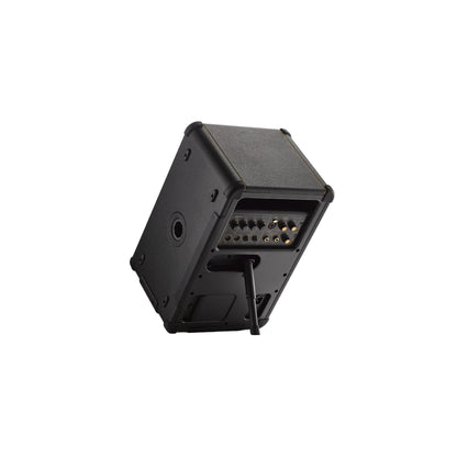 Positive Grid Spark LIVE Portable Amplifier Positive Grid Art of Guitar