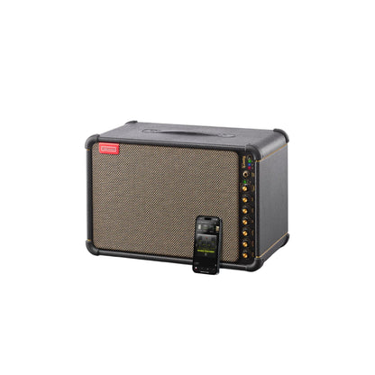 Positive Grid Spark LIVE Portable Amplifier Positive Grid Art of Guitar