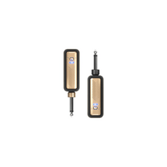 Positive Grid Spark LINK