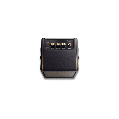 Positive Grid Spark Mini Portable Amplifier Positive Grid Art of Guitar