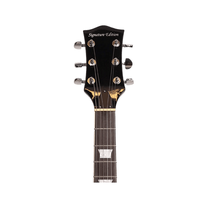 Signature Edition David Gilmour Autographed Guitar Guitar Signature Edition Art of Guitar