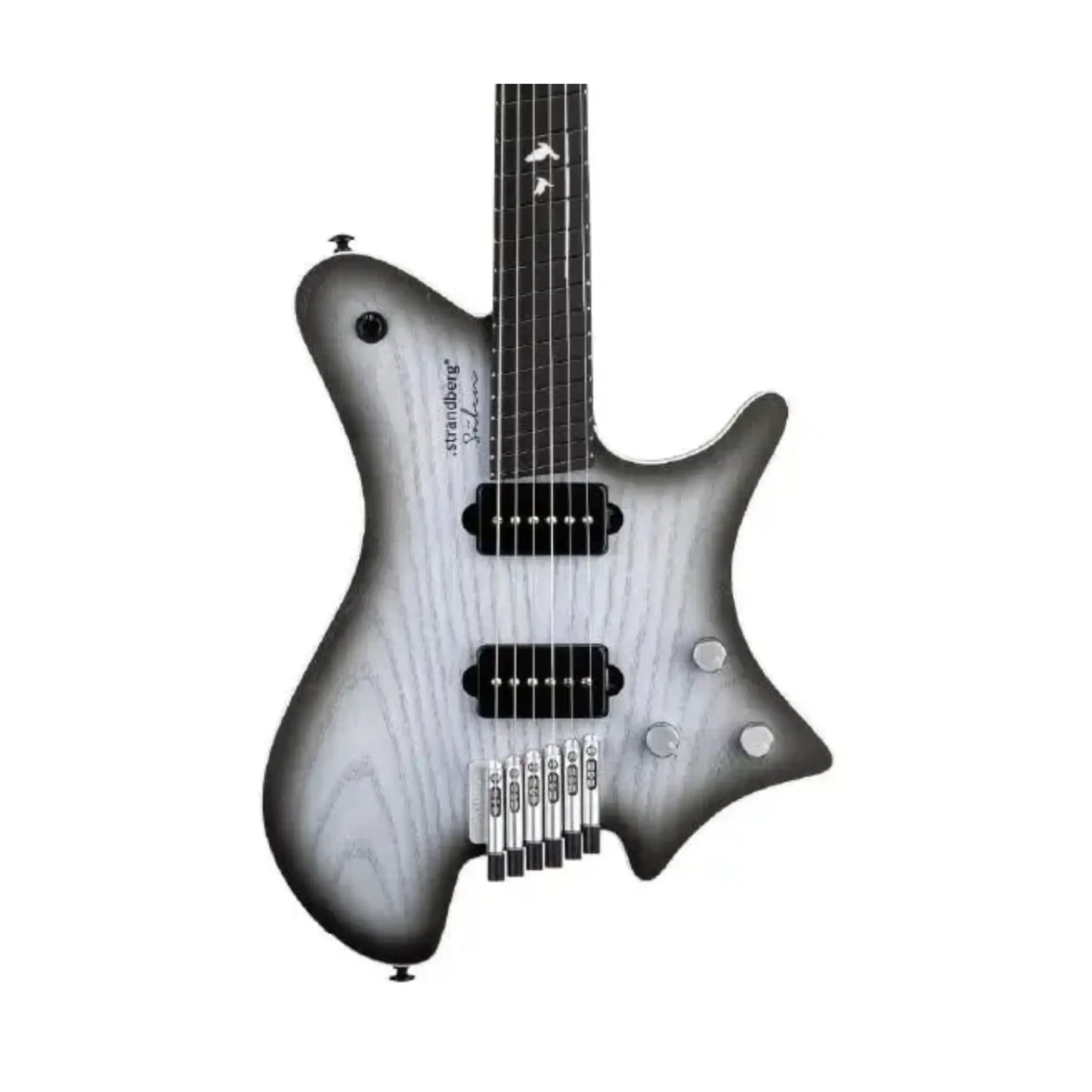 Strandberg Sälen APS Monochrom Limited Edition (Signed by Ola Strandberg) Electric Guitars Strandberg Art of Guitar