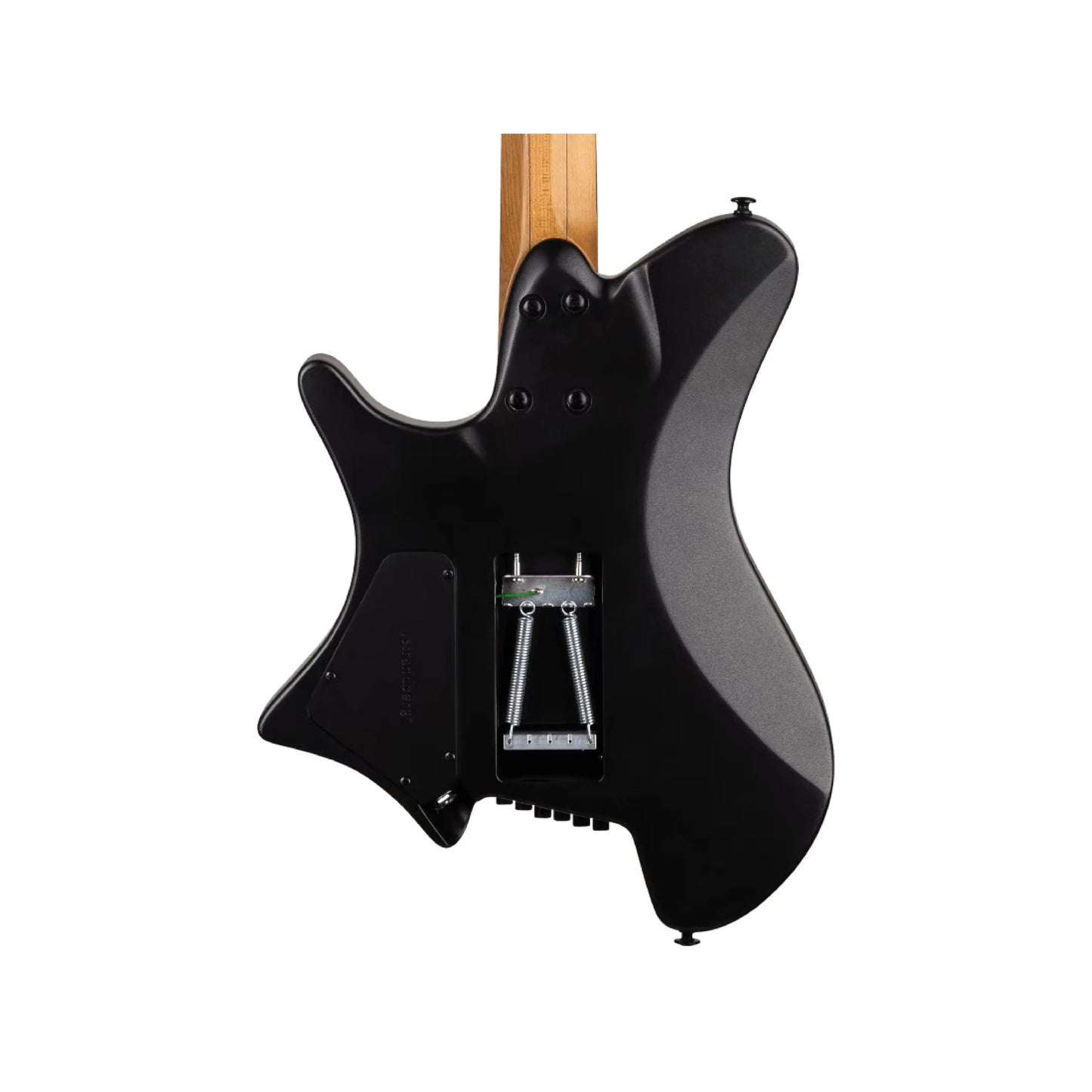 Strandberg Sälen CK Stealth Limited Edition - Black Electric Guitars Strandberg Art of Guitar