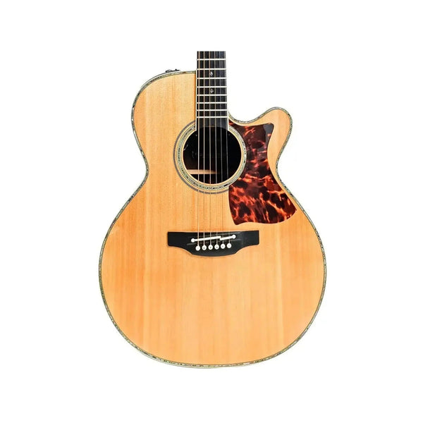 Takamine - DMP500 Custom Limited Guitar | Art Of Guitar – Art of ...