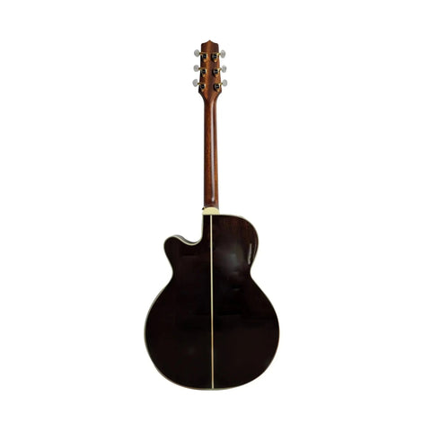 Takamine DMP500 Custom Limited Japanese Luthier built Acoustic Guitars Takamine Art of Guitar