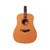 Taylor 25th Anniversary XXV-DR Limited Edition Taylor
