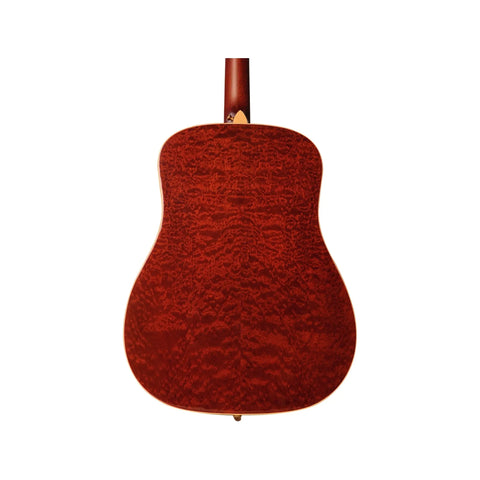 Taylor 25th Anniversary XXV-DR Limited Edition Taylor