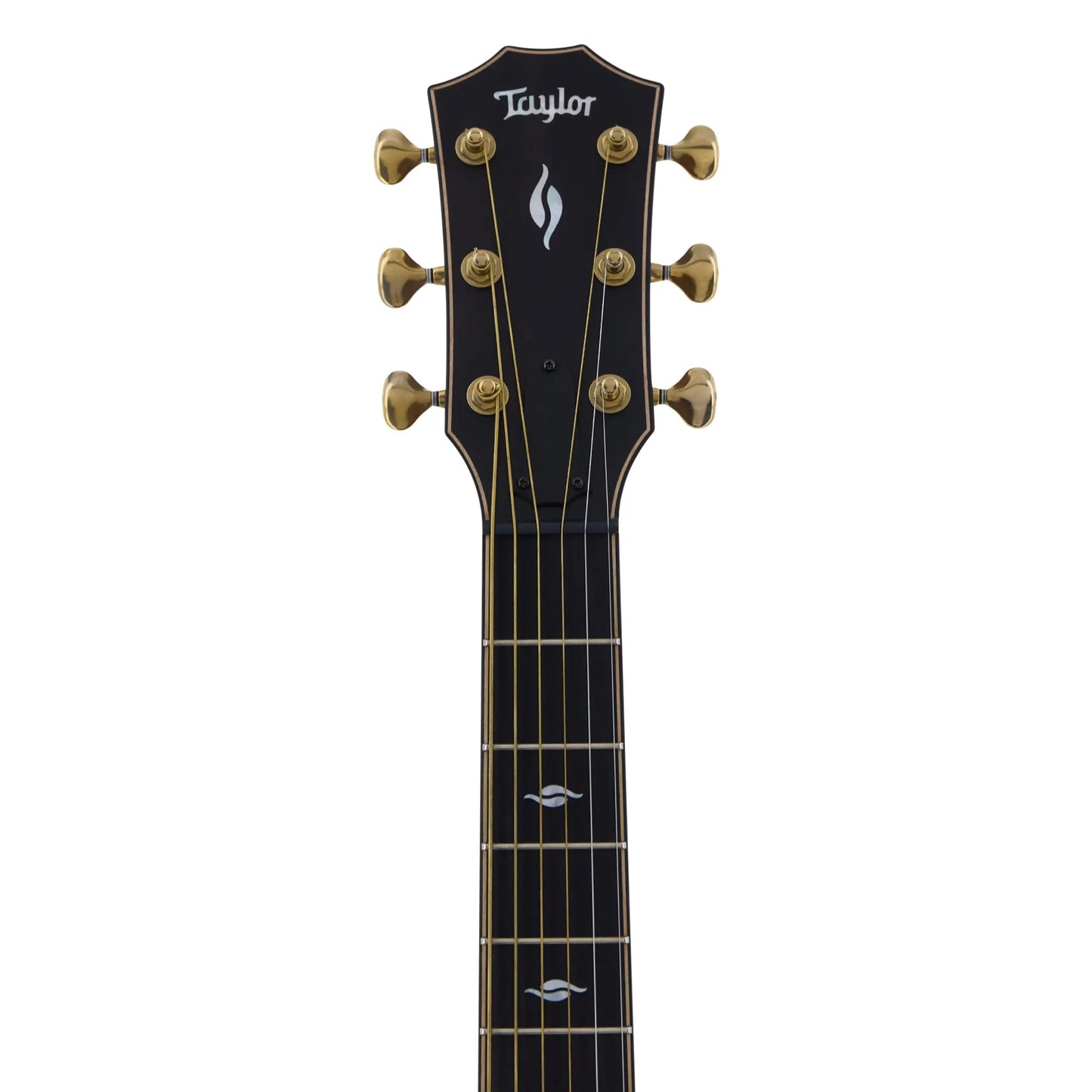 Taylor Builder's Edition 816ce Grand Symphony Acoustic Guitar Acoustic Guitars Chougyi Liauy Art of Guitar