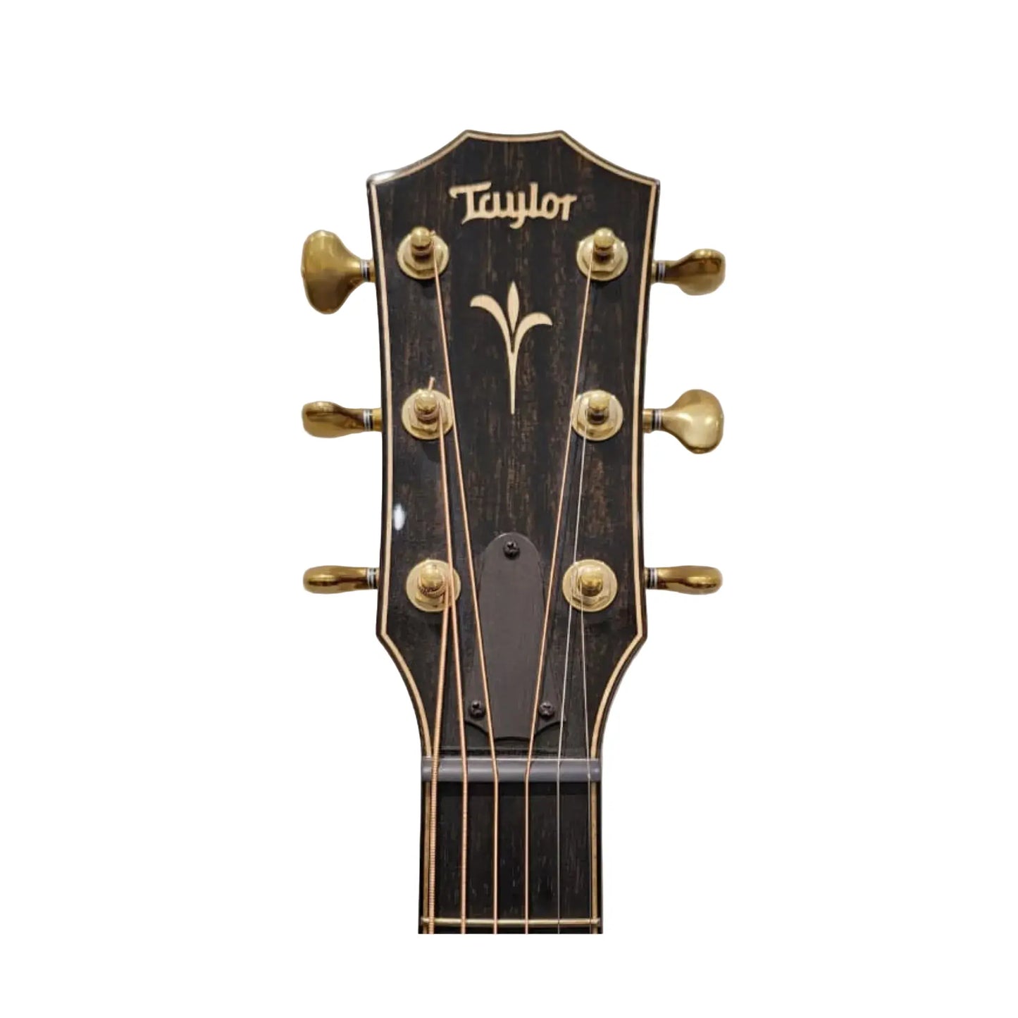 Taylor K22ce Acoustic Guitar - Solid Hawaiian Koa Grand Concert - (Re-Loved) Acoustic Guitars Taylor Art of Guitar