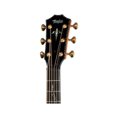 Taylor Presentation Series PS12ce 12 Fret Grand Concert Acoustic Guitars Taylor Art of Guitar