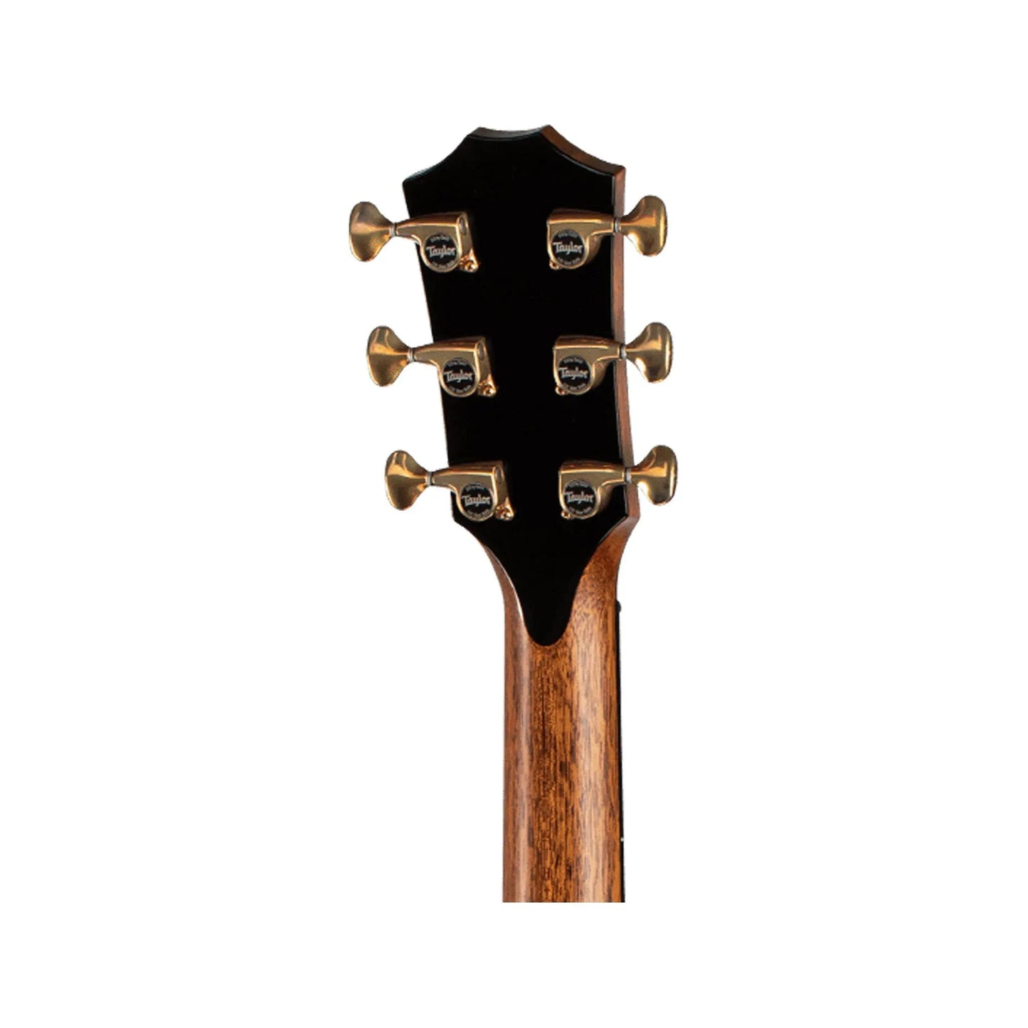 Taylor Presentation Series PS12ce 12 Fret Grand Concert Acoustic Guitars Taylor Art of Guitar