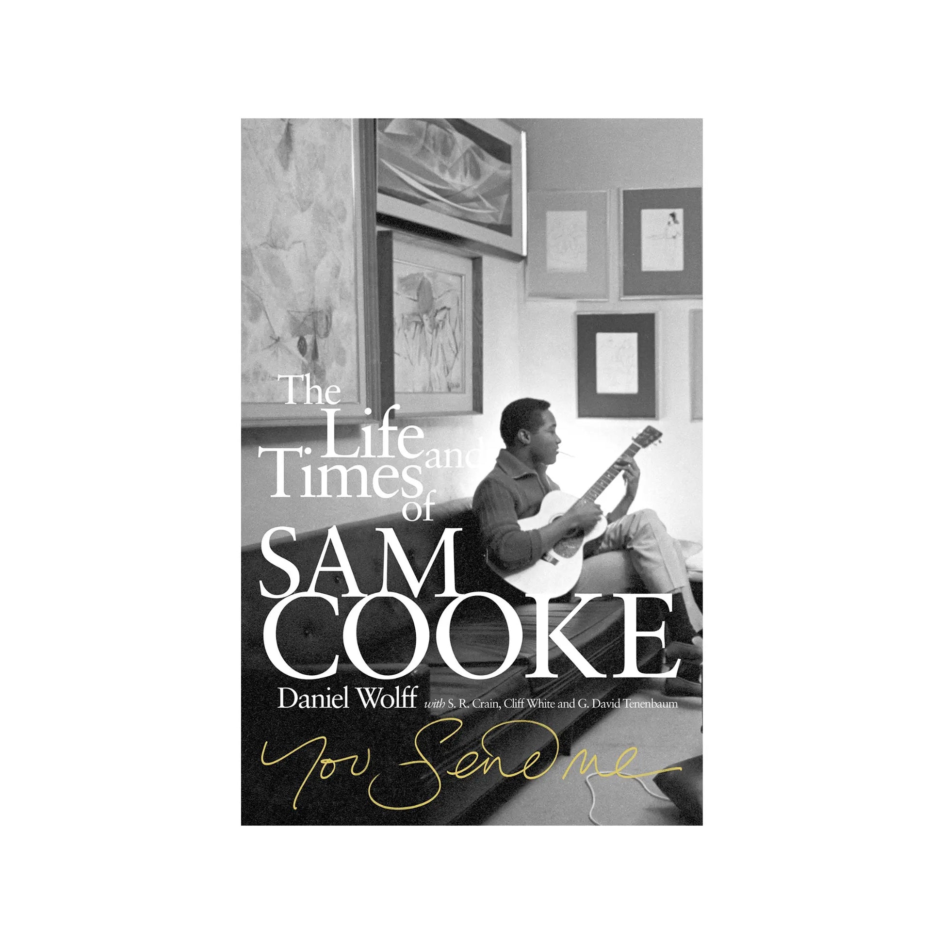 The Life and Times of Sam Cooke – Biography of the Legendary Soul Music Icon Music Books Daniel Wolff Art of Guitar