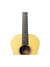 Collings - C10 Custom Shop Select Honduran Mahogany Art of Guitar