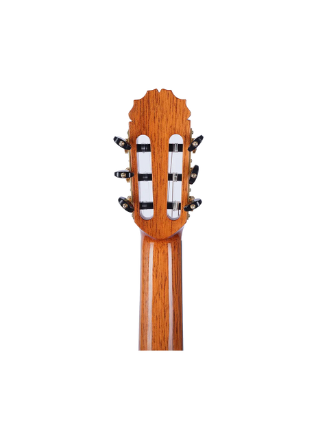 Cordoba Reyes - Master Series Premium (incl. Humidifier Case) - Classical Guitar Art of Guitar