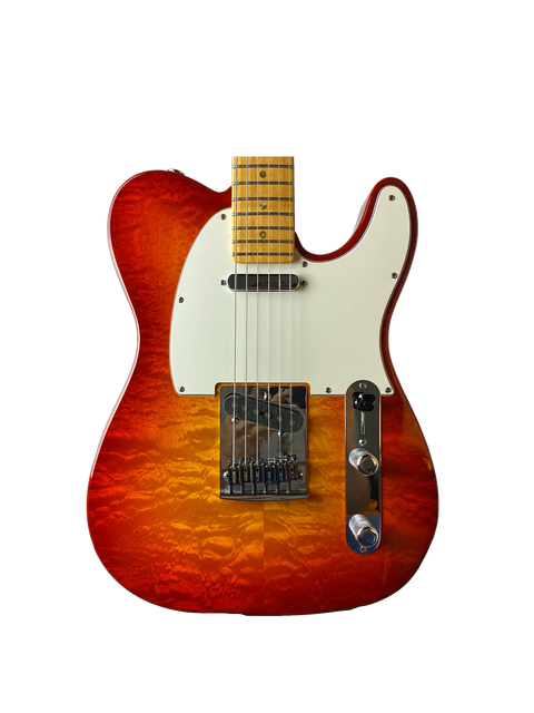 Fender - Custom Dlx Telecaster Art of Guitar