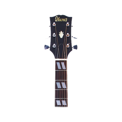 Ibanez - 620L Left-Handed Acoustic Guitar Art of Guitar