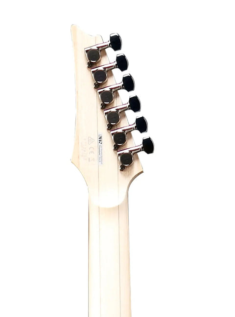 Ibanez RGA Series J Custom RGA8420 SDF Electric Guitar AVA Music