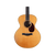 Santa Cruz - F Custom Rosewood Maple Art of Guitar