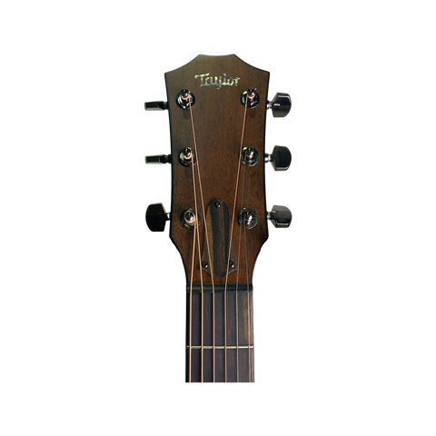 Taylor - Custom Catch#38 (NAMM 2020) Art of Guitar